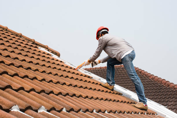 Best Roof Maintenance and Cleaning  in Walterboro, SC