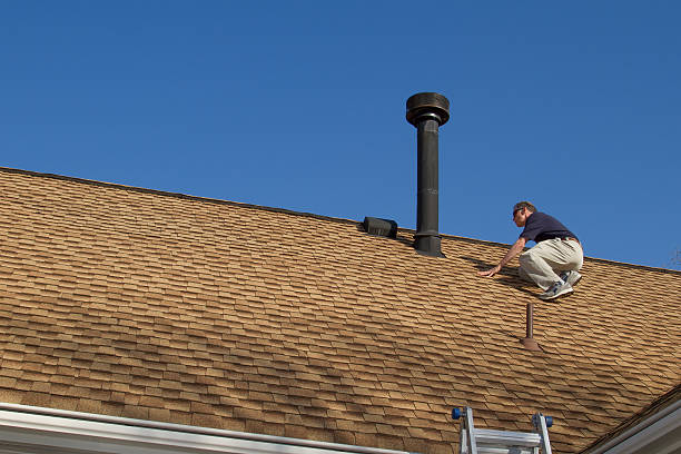 Best Roof Insulation Installation  in Walterboro, SC